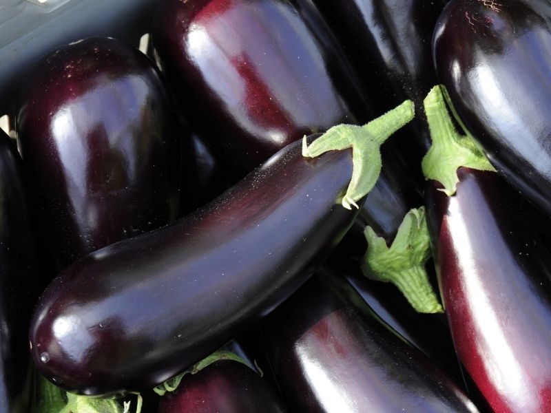 Buzdolabı Neden İlk Tercih Olmamalı?