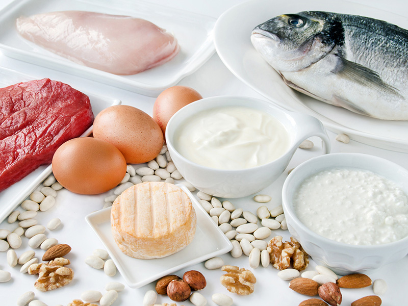 protein