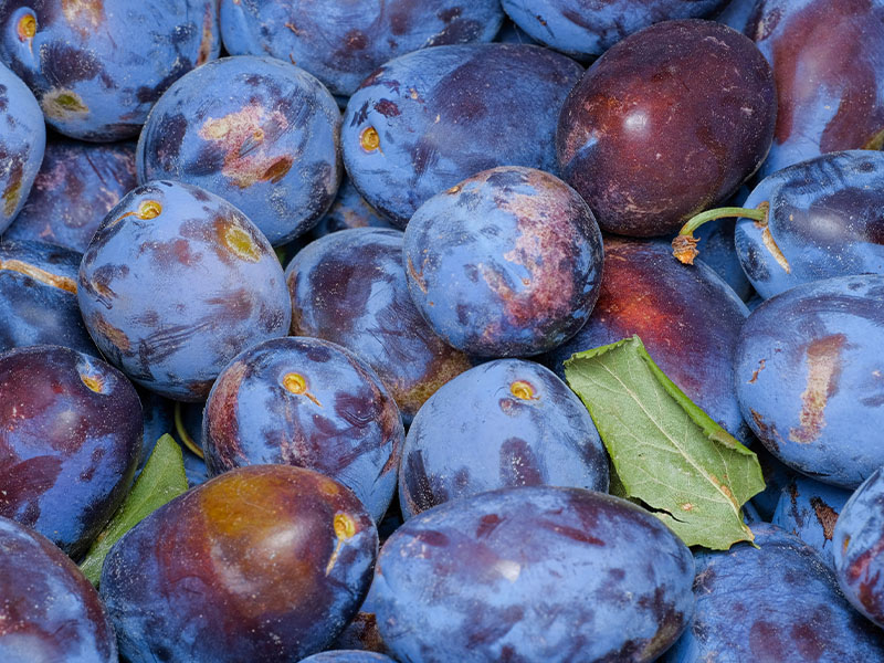 Su Eklemek Gerekir Mi?