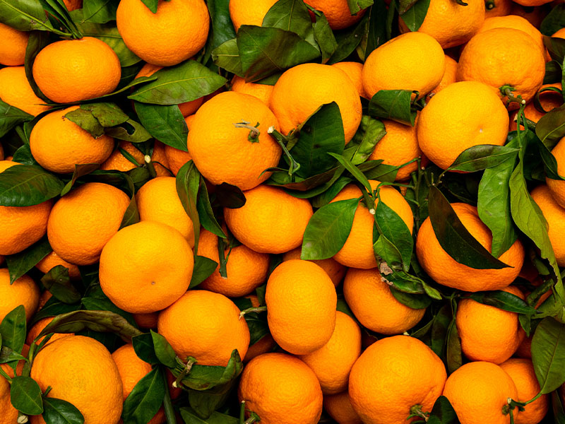 Küflü Bir Mandalina Diğerlerini Etkileyebilir