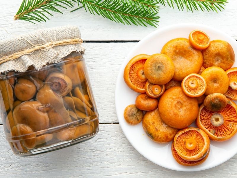 Aromatik Dengesi Ve Salamura Suyunun Hazırlanması