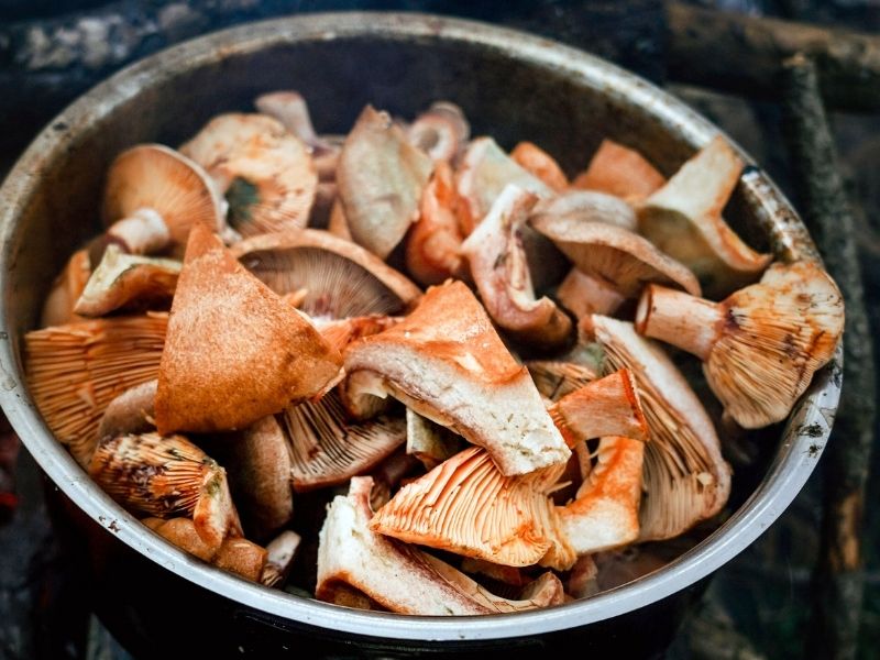Baharat Dokunuşu ve Servise Hazırlık