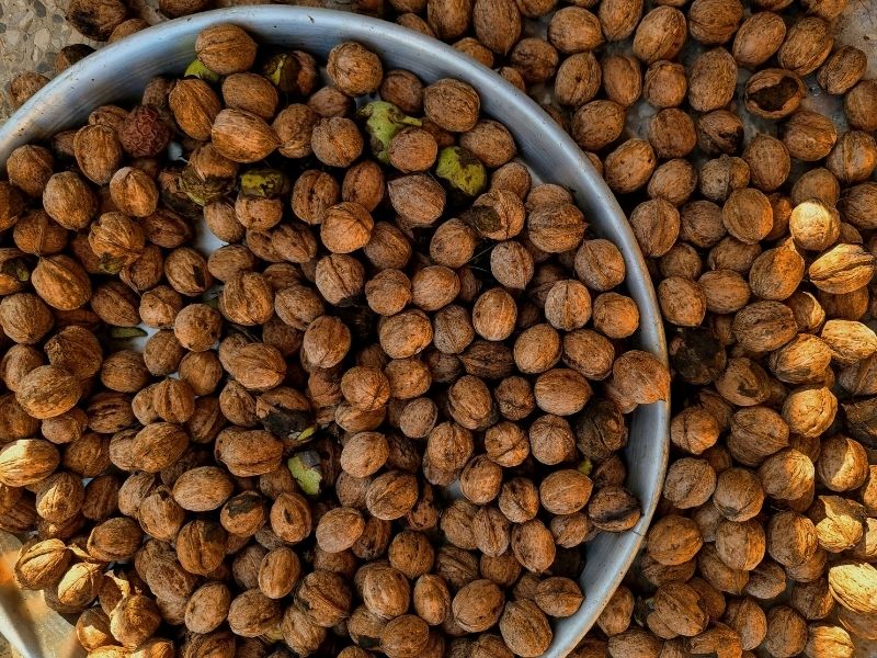 Serin, Kuru Ve Karanlık Ortam Dengesi