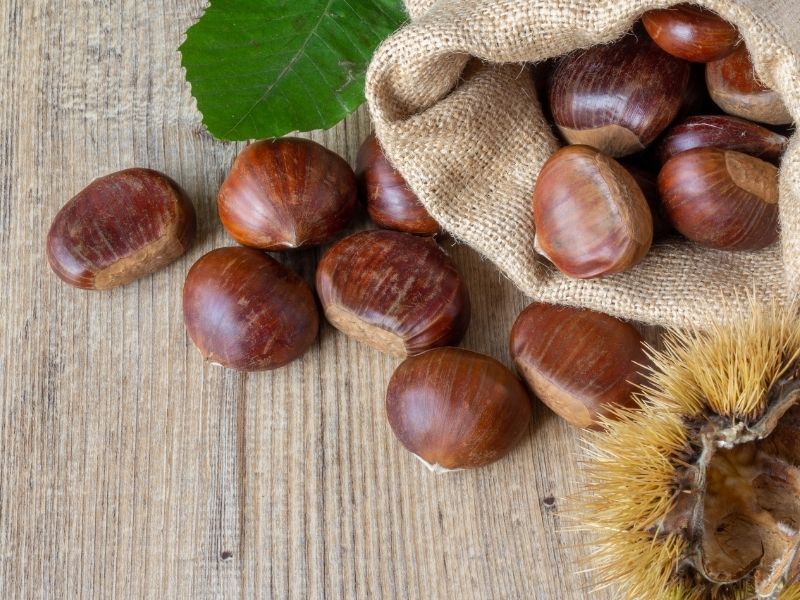 Suda Bekletme Yönteminin Mantığı ve Sıcak Su Etkisi