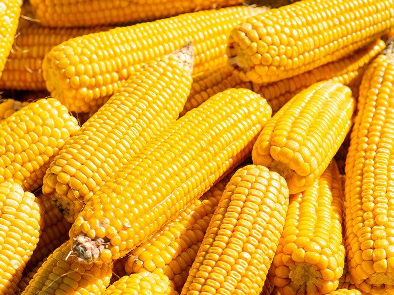Düdüklü Tencere Kullanın