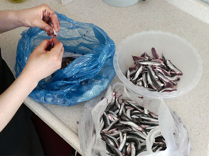 Hamsiyi Suda Bekleterek Temizleme