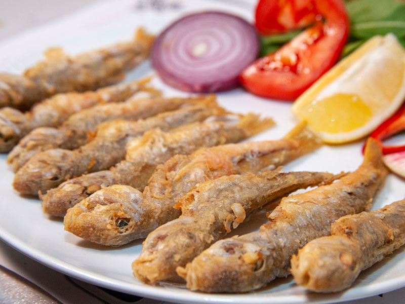 İstavrit Alırken Nelere Dikkat Edilmeli?