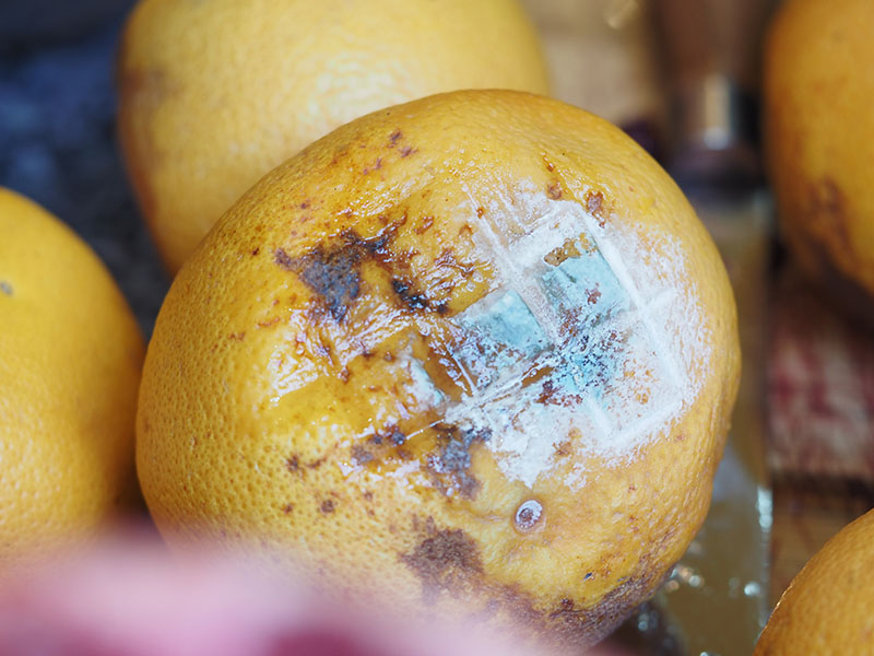 Çürüyen Limonları Hemen Ayırın