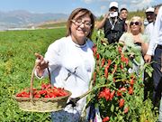 GastroAntep’te lezzet, kültür ve eğlence bir aradaydı
