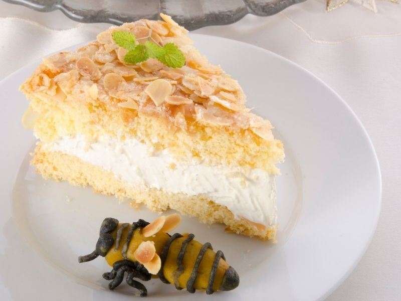 Bienenstich (Arı Sokması Pastası)