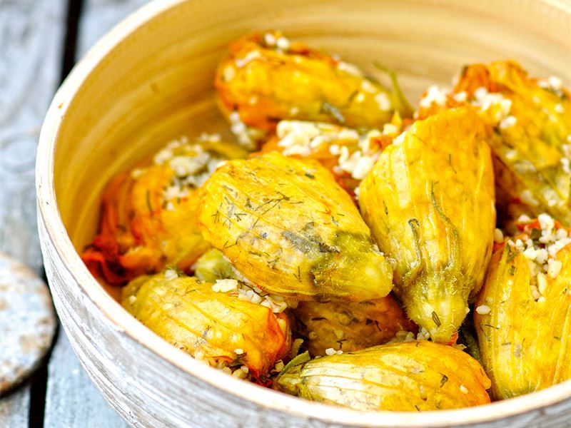 Kabak çiçeği dolması (Dolmathes)
