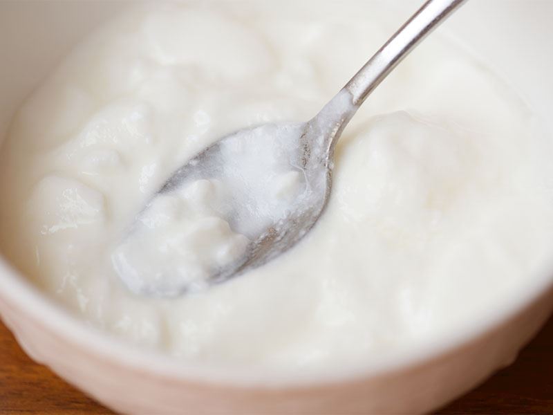 1 Litre Süt ile Yoğurt Nasıl Mayalanır?