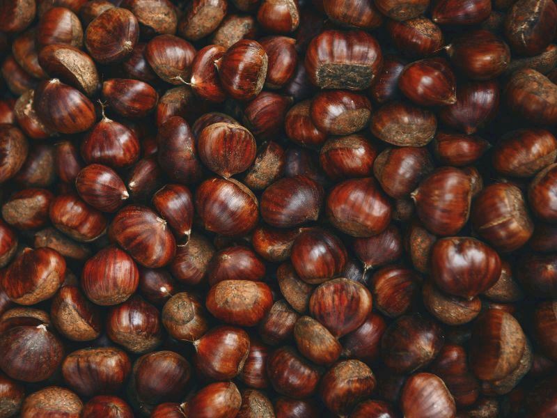 14 Kasım Masterchef Türkiye'de Son Dokunulmazlığı Hangi Takım Kazandı?