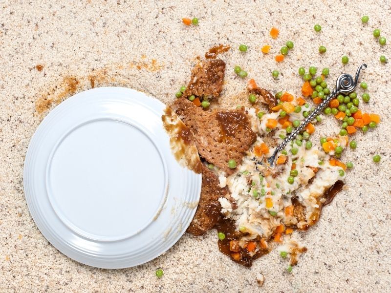 5 Saniye Kuralı: Yere Düşen Yemek Yenir Mi?