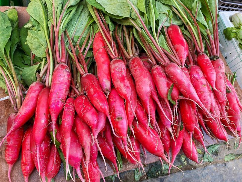 Adım Adım Turp Nasıl Yetiştirilir?