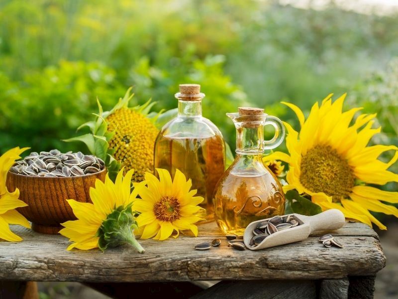 Ayçiçek Yağı Nasıl Saklanır?