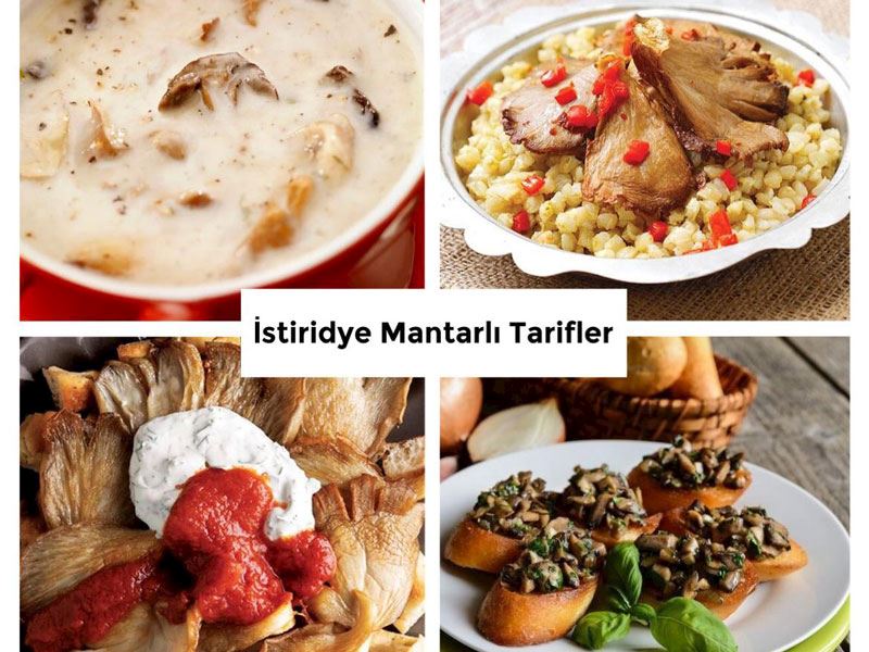 Birbirinden Lezzetli İstiridye Mantarlı 8 Tarif