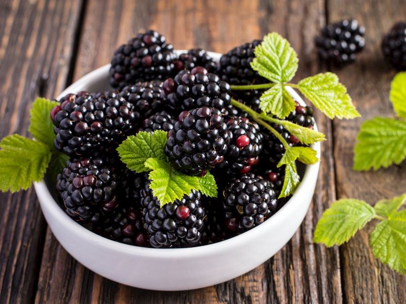  Böğürtlen Nasıl Dondurulur: Dondurulmuş Böğürtlen Kullanmanın Yolları