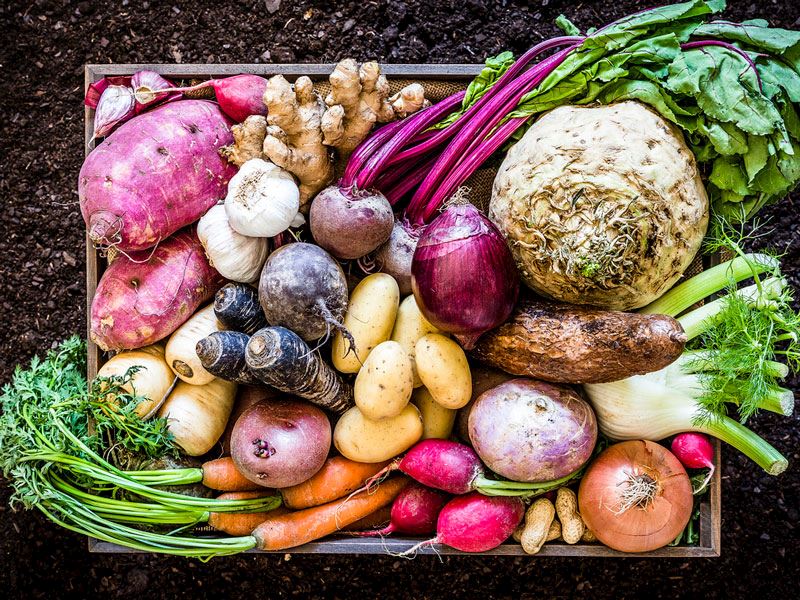 Besleyici Kök Sebzeler: En Sağlıklı 12 Kök Sebze