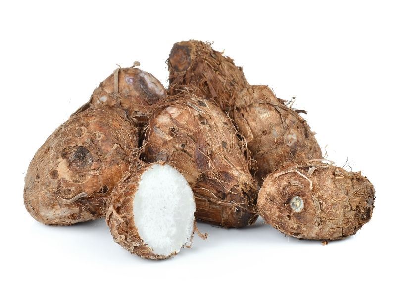 Evde Gölevez Nasıl Yetiştirilir?