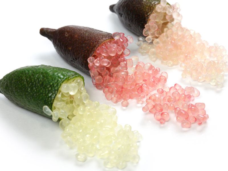 Finger Lime Nedir?