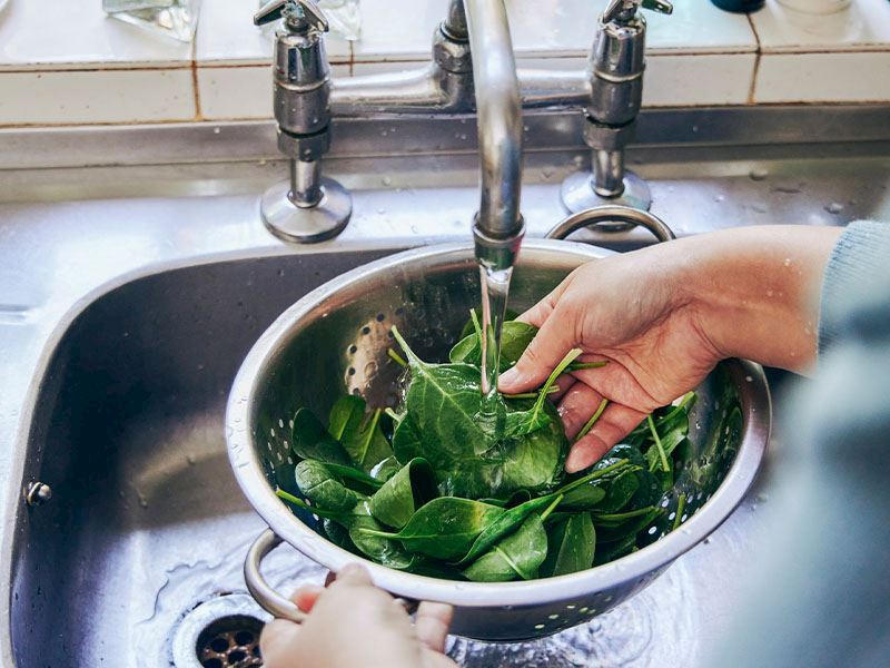 Ispanak Yıkanıp Buzluğa Atılır Mı?