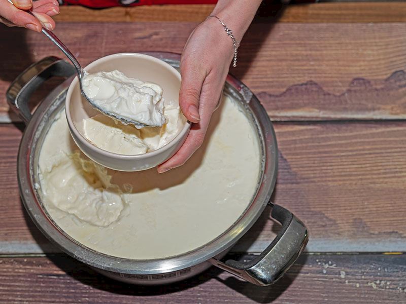 Jersey Sütten Yoğurt Kaç Saatte Mayalanır?