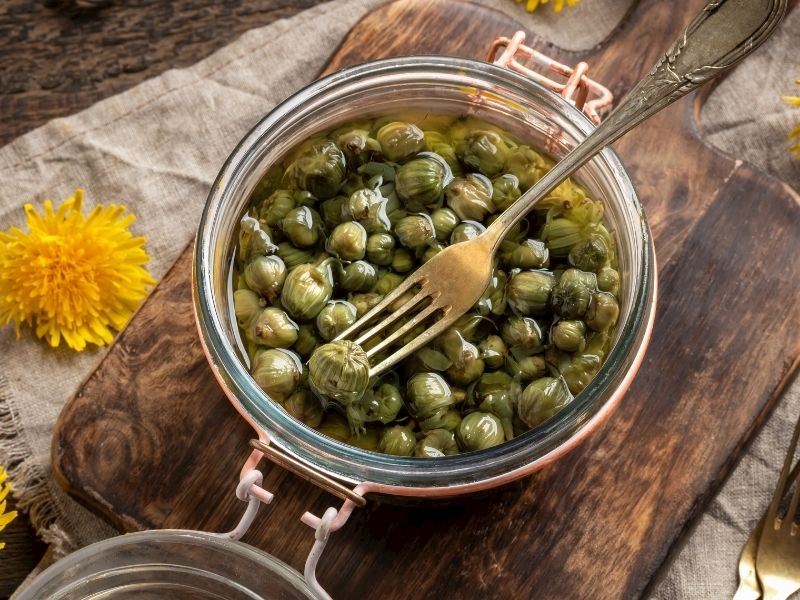 Kapari Turşusu Nasıl Yapılır?