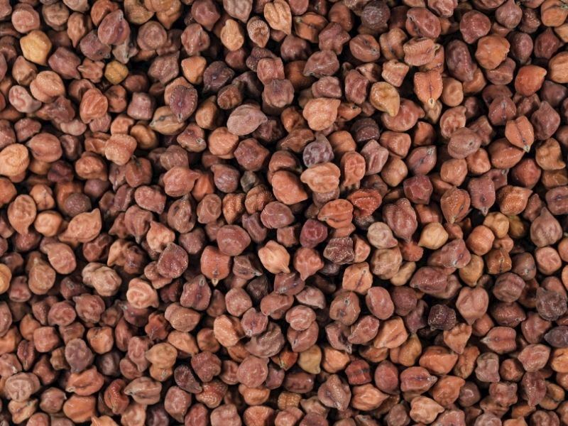 Kara Nohut Yumuşacık Nasıl Pişirilir? 