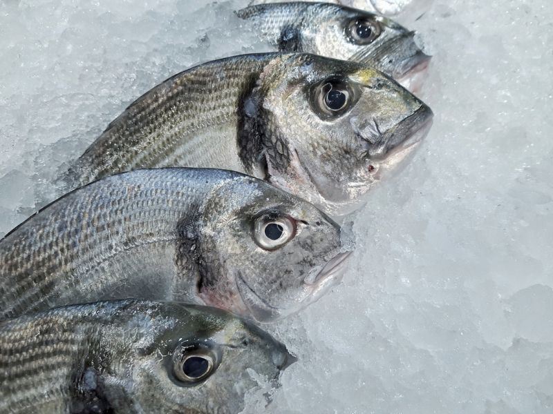 Karagöz Balığı Nasıl Pişirilir?