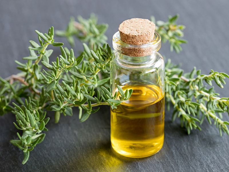 Kekik Yağının Faydaları Nelerdir?