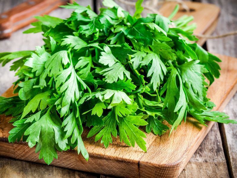 Kilis Tavaya Maydanoz Konur Mu?