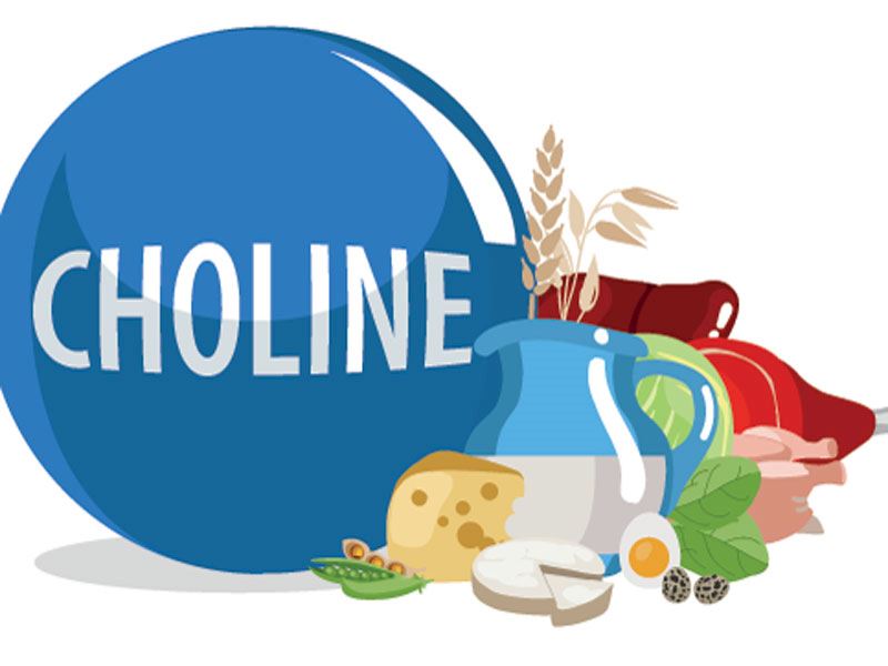 Kolin Açısından Yüksek 13 Besin