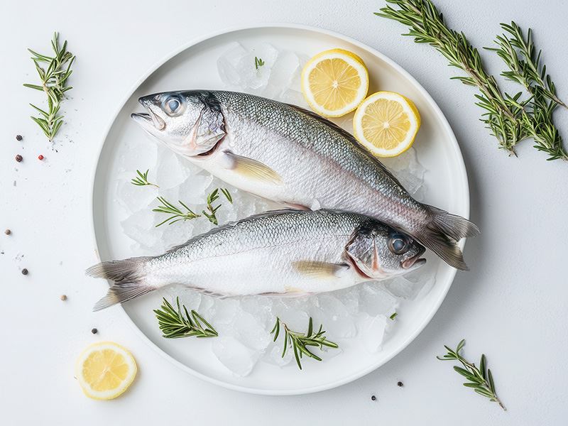 Levrek Balığının Büyüğüne Ne Ad Verilir?