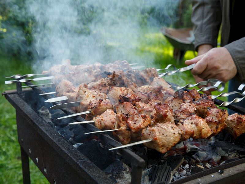 Mangalın Yanına Ne Gider? Mangal Yanına Yakışacak 10 Tarif