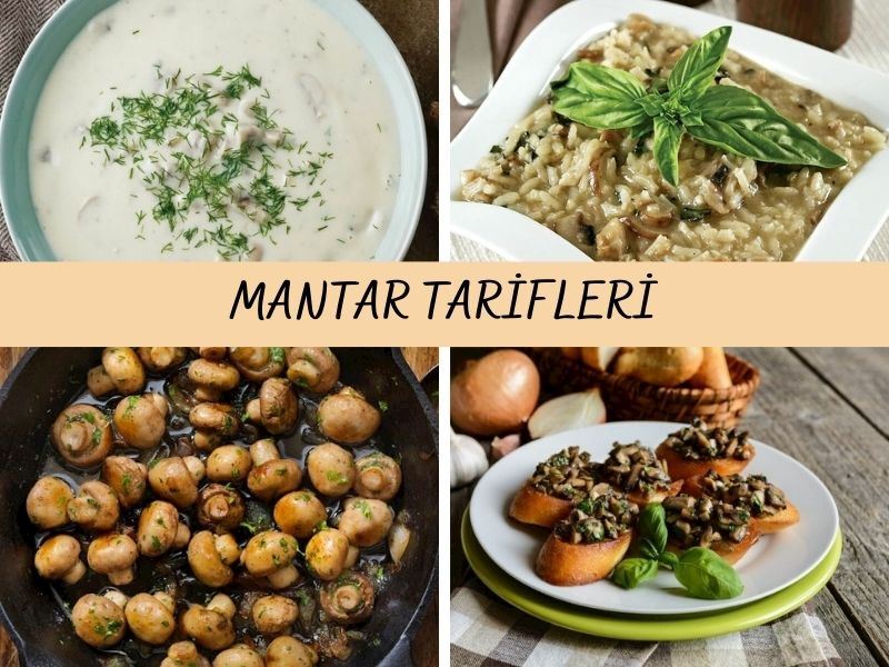 Mantar Tarifleri: Pratik ve Nefis 21 Mantar Yemeği Tarifi