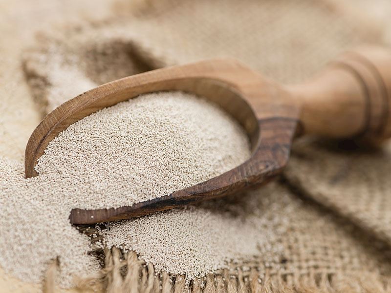 Sağlık İksiri Mayanın Faydaları Nelerdir?