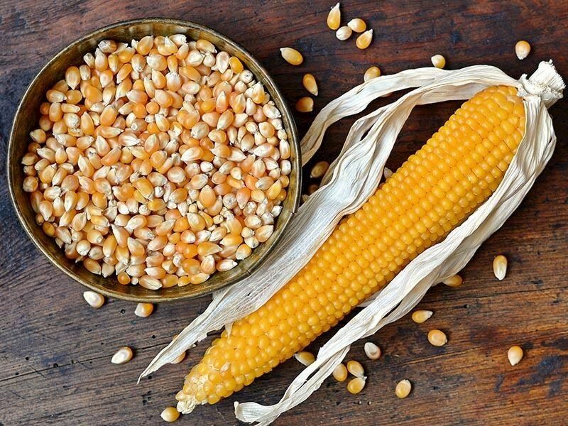 Mısırlı Tarifler: Mısırla Yapabileceğiniz 13 Farklı Tarif