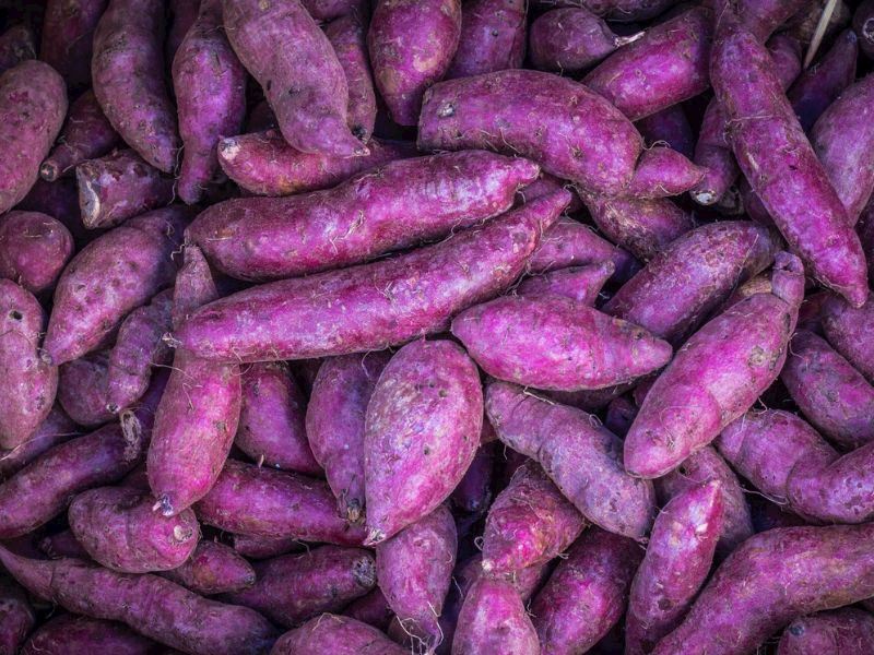 Mor Patatesin Faydaları Nelerdir, Nasıl Kullanılır?