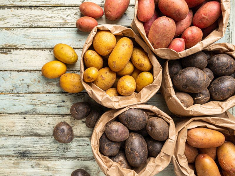 Patates Çeşitleri Nelerdir?