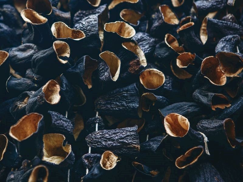 Patlıcan Evde Nasıl Kurutulur?