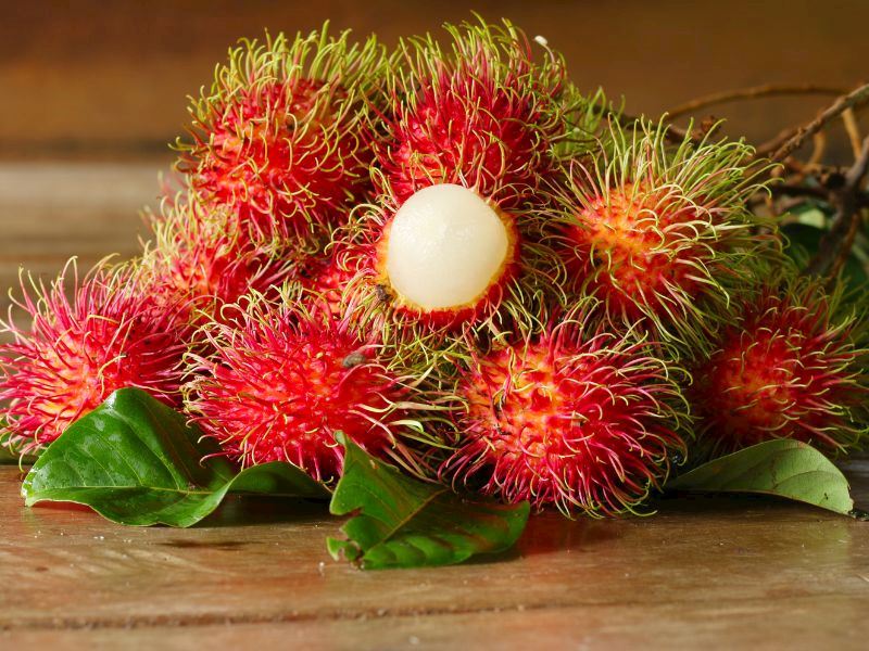 Rambutan Meyvesi Nedir? Rambutanın 10 İnanılmaz Faydası