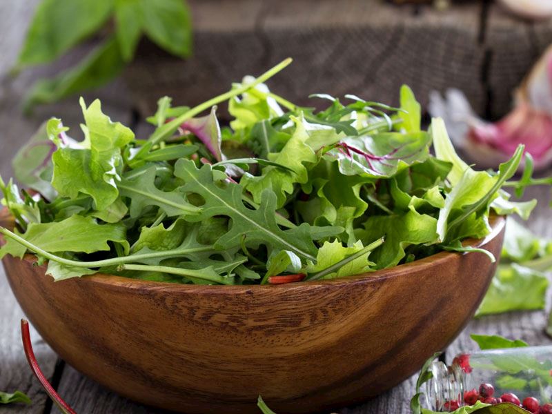 Roka Bozulmadan Nasıl Saklanır?