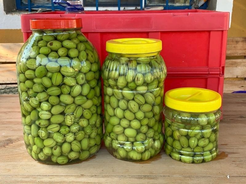 Salamura Yeşil Zeytin Nasıl Saklanır?