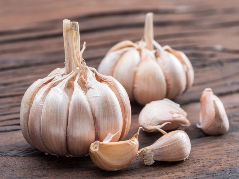 Sarımsak Buzdolabında Saklanır Mı?
