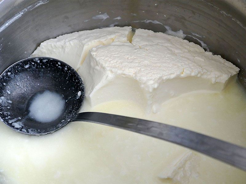 Sıfırdan Yoğurt Mayası Nasıl Yapılır?