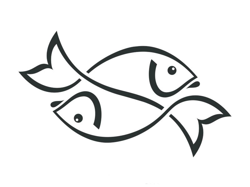 Türkiye’nin en iyi balıkçıları