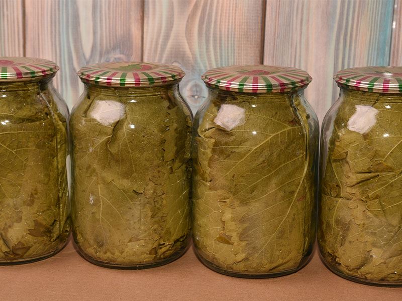 Yaprak Sarmasında Yaprak Sert Olursa Ne Yapmalı?