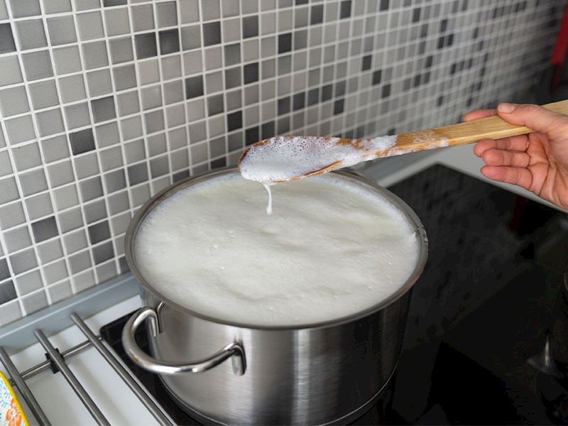 Yoğurt Mayası Olarak Ne Kullanılır?