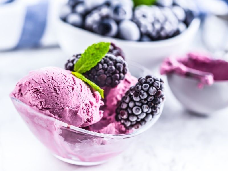 Böğürtlenli Şekersiz Dondurma